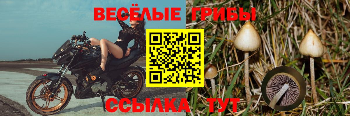 Галлюциногенные грибы Magic Shrooms  Вход с VPN  Учалы 